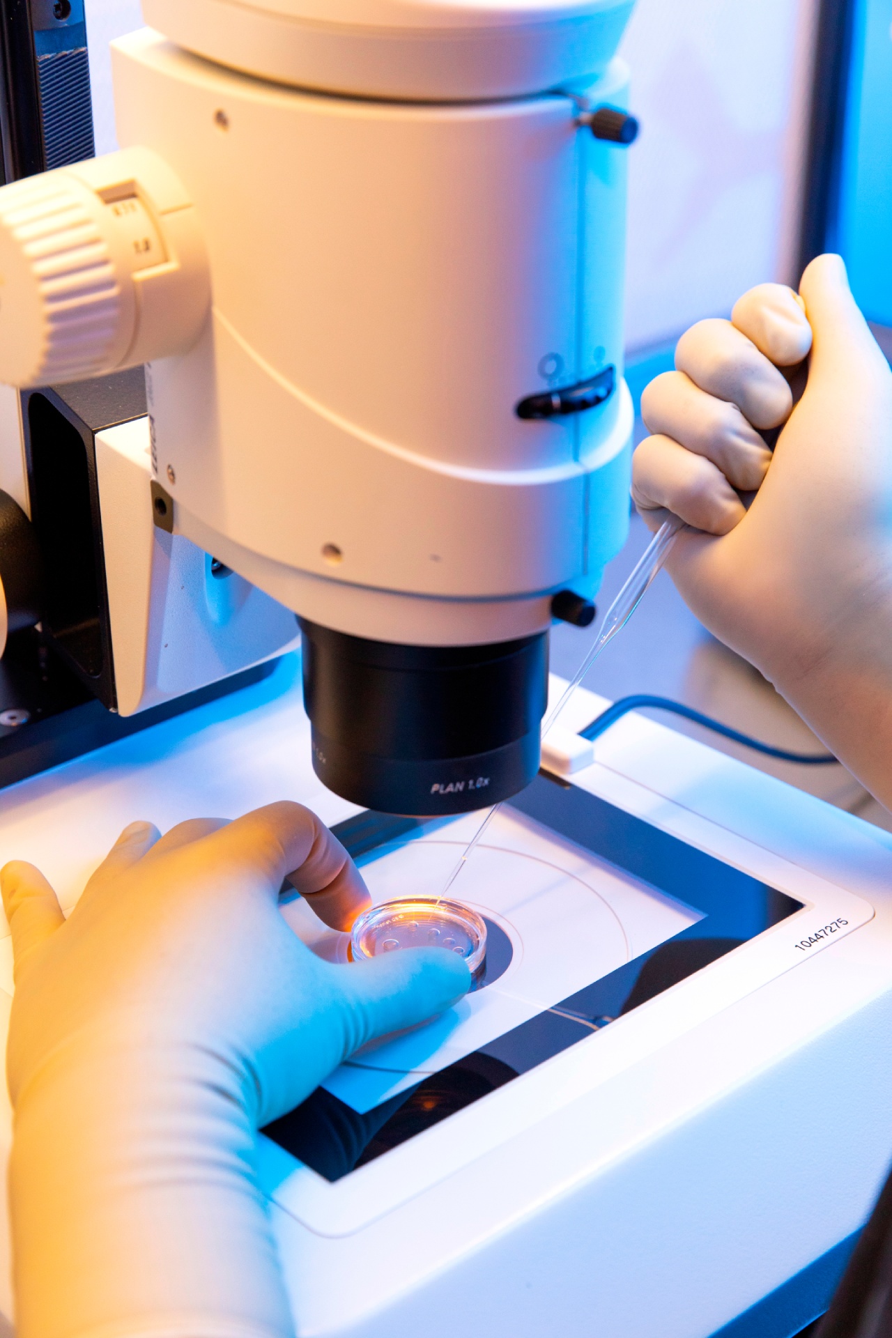 What is ISO 13485